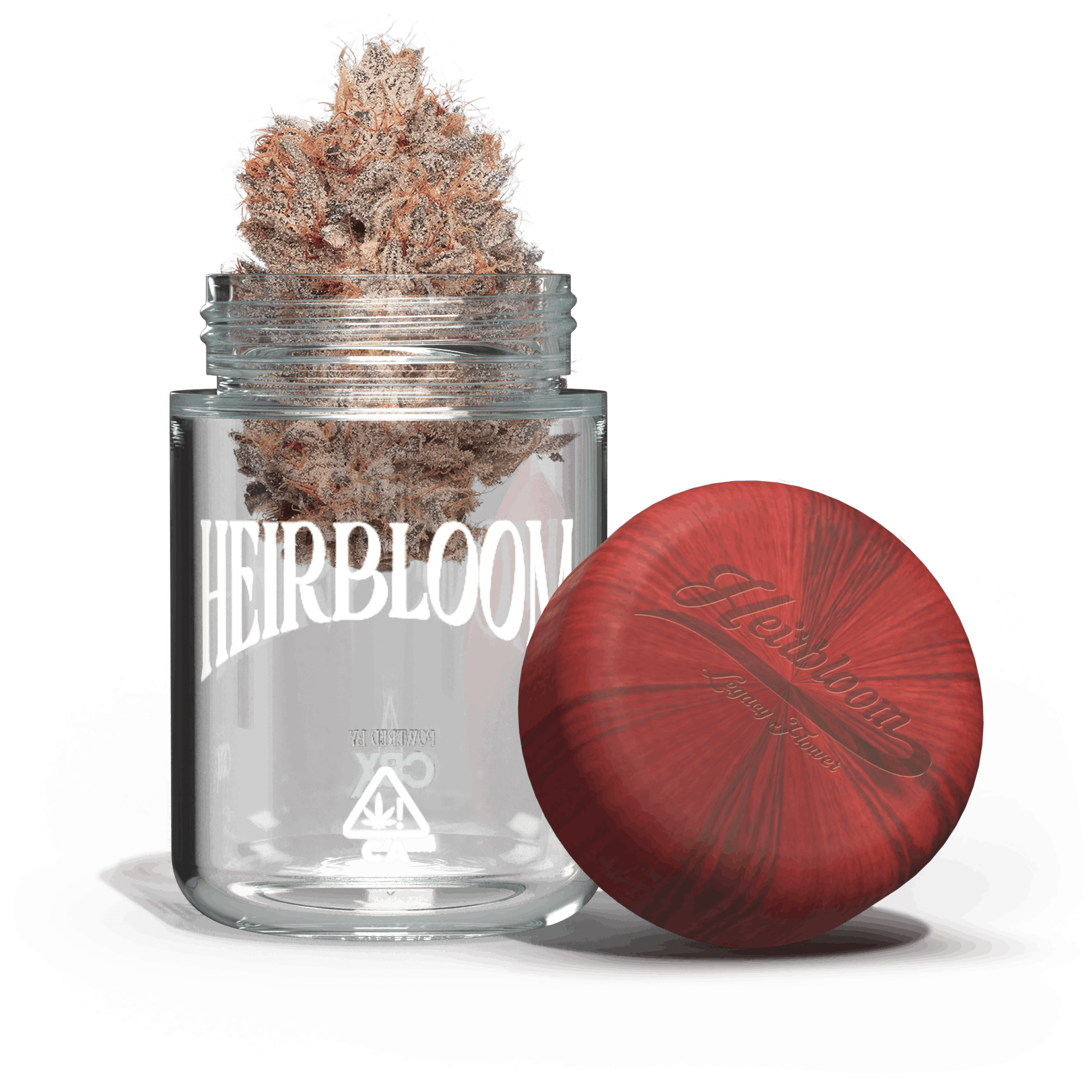 Blueberry 3.5 Boutique Indoor Flower - Heirbloom Legacy Flower - - $32.41 - Flowers