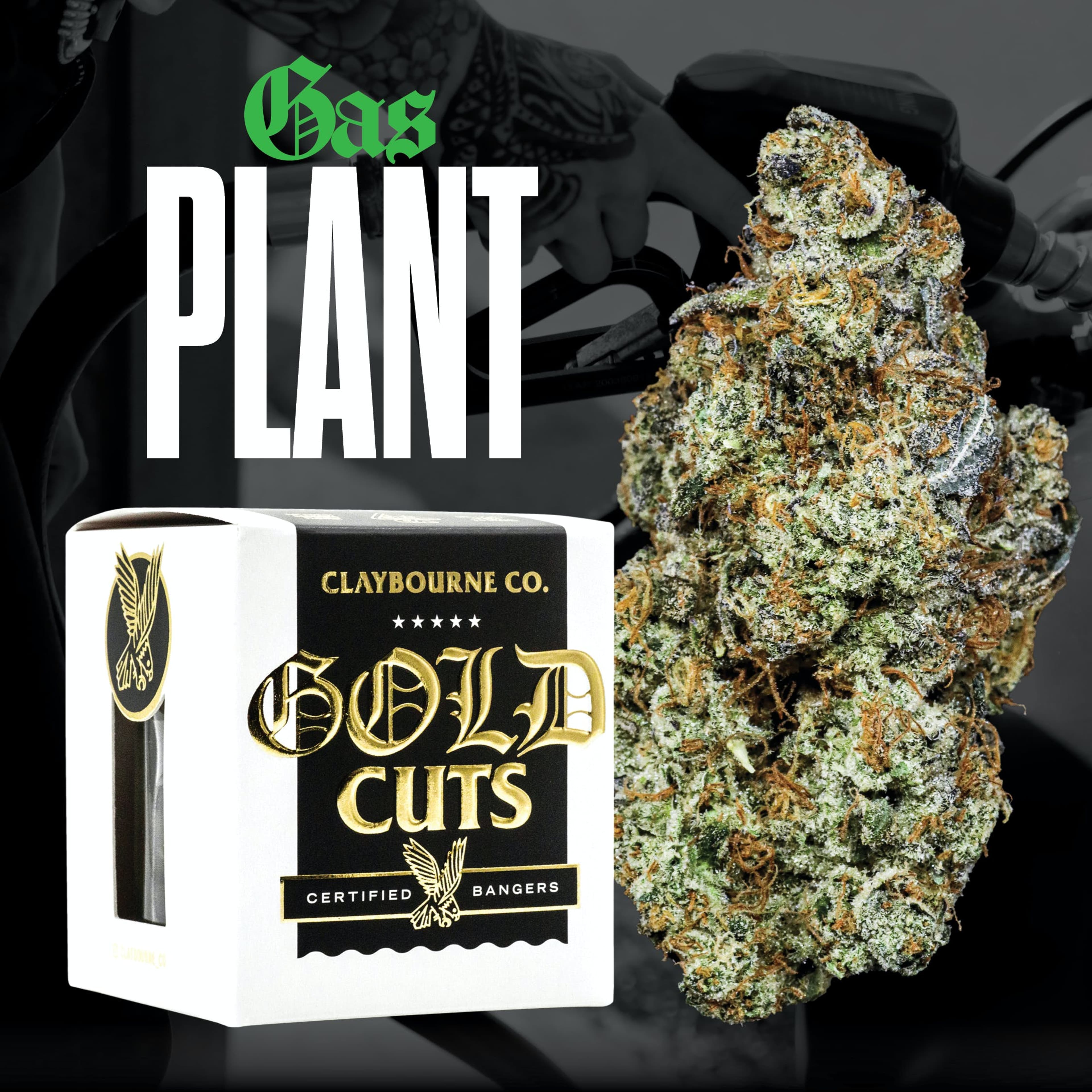 Claybourne Co: Gas Plant (I) | Gold Cuts - 3.5g - Claybourne Co. - - $55 - Flower