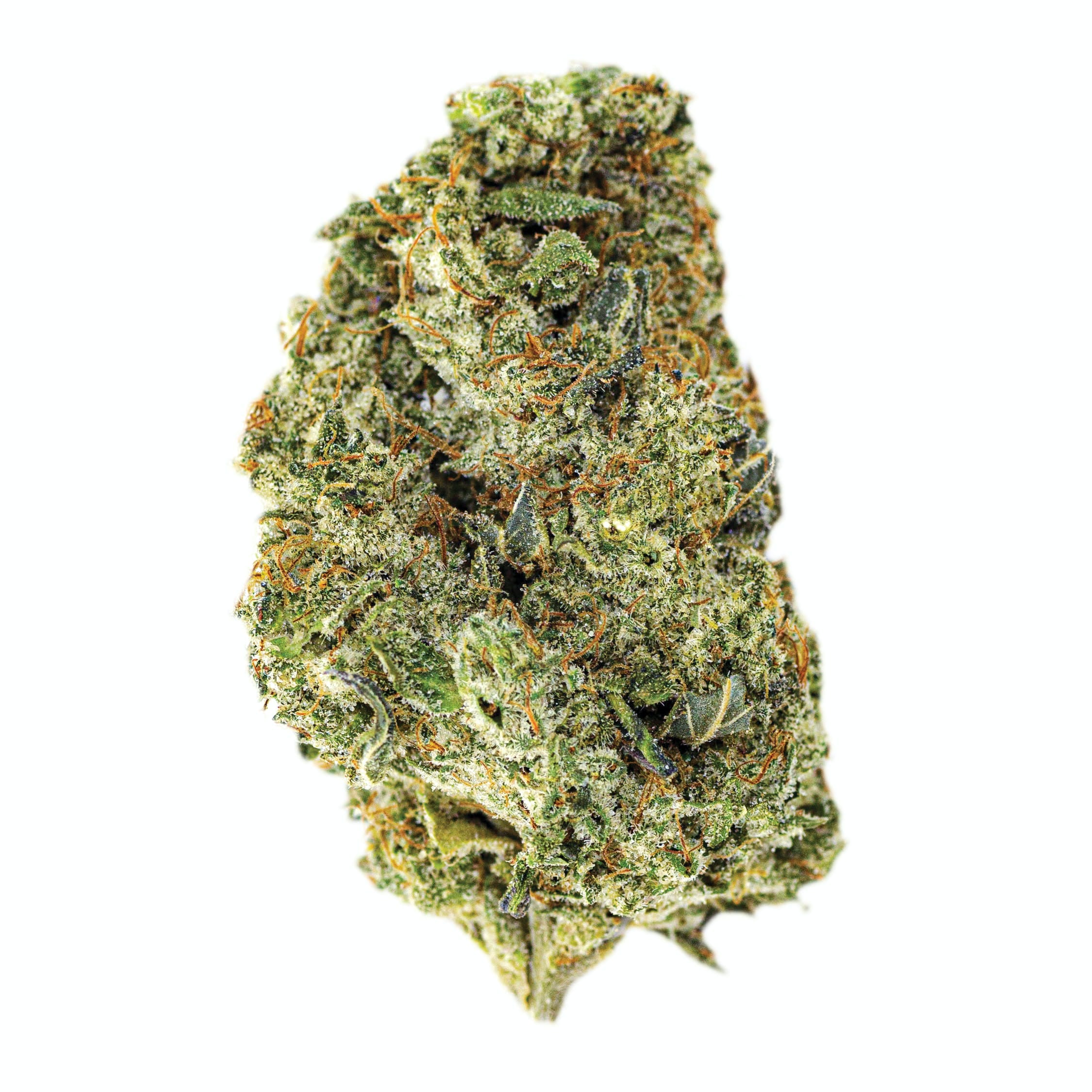 Mango Haze (3.5g) - Claybourne Co. -  - $40 - Flower