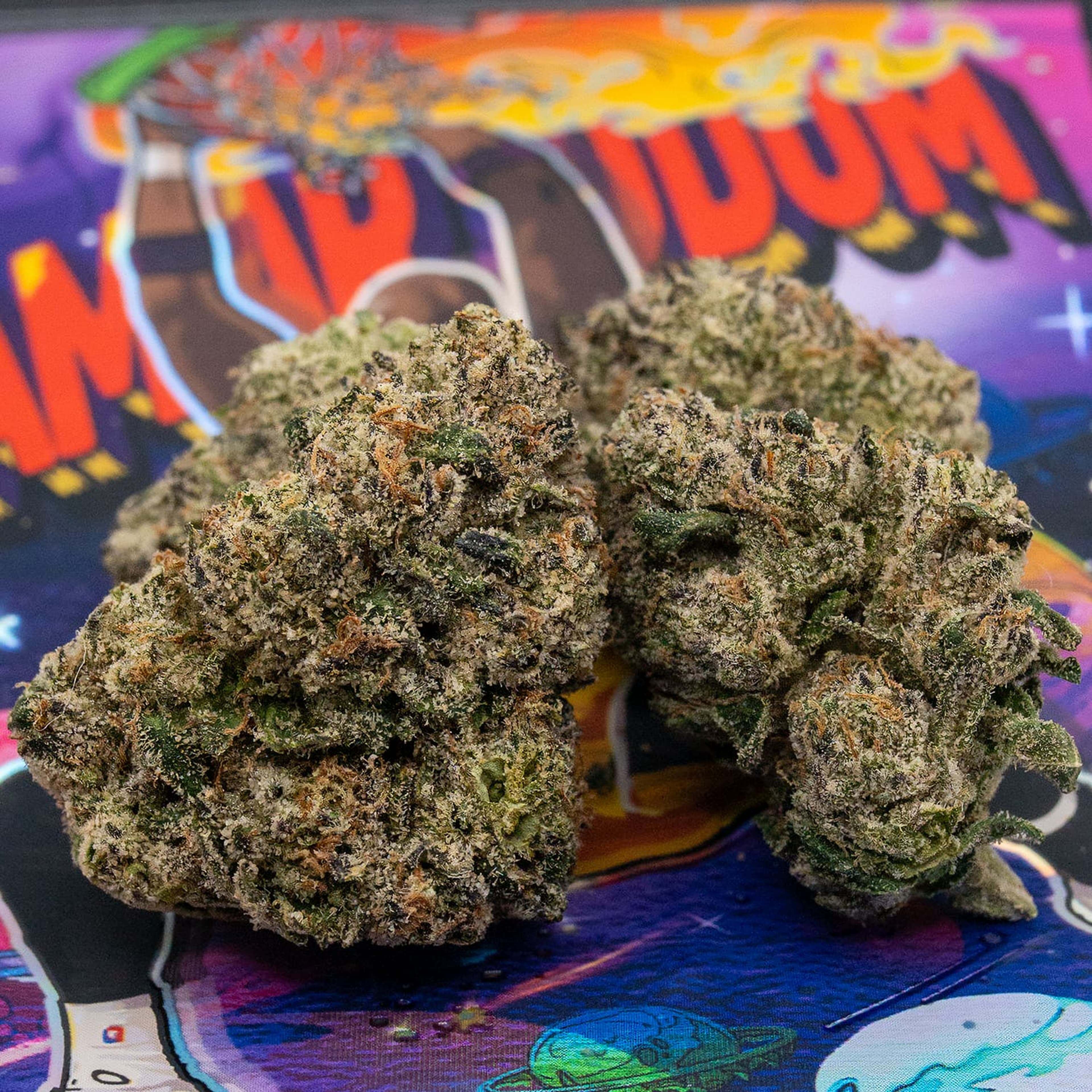 Lamar Odom 31% - 3.5G *SPECIAL PRICING* - Teds Budz - Lamar Odom (H) - $55 - Exotic Eighths - Buy 8 Mix & Match get 13.5% Off PLUS $.01 Punch T1 Rosin