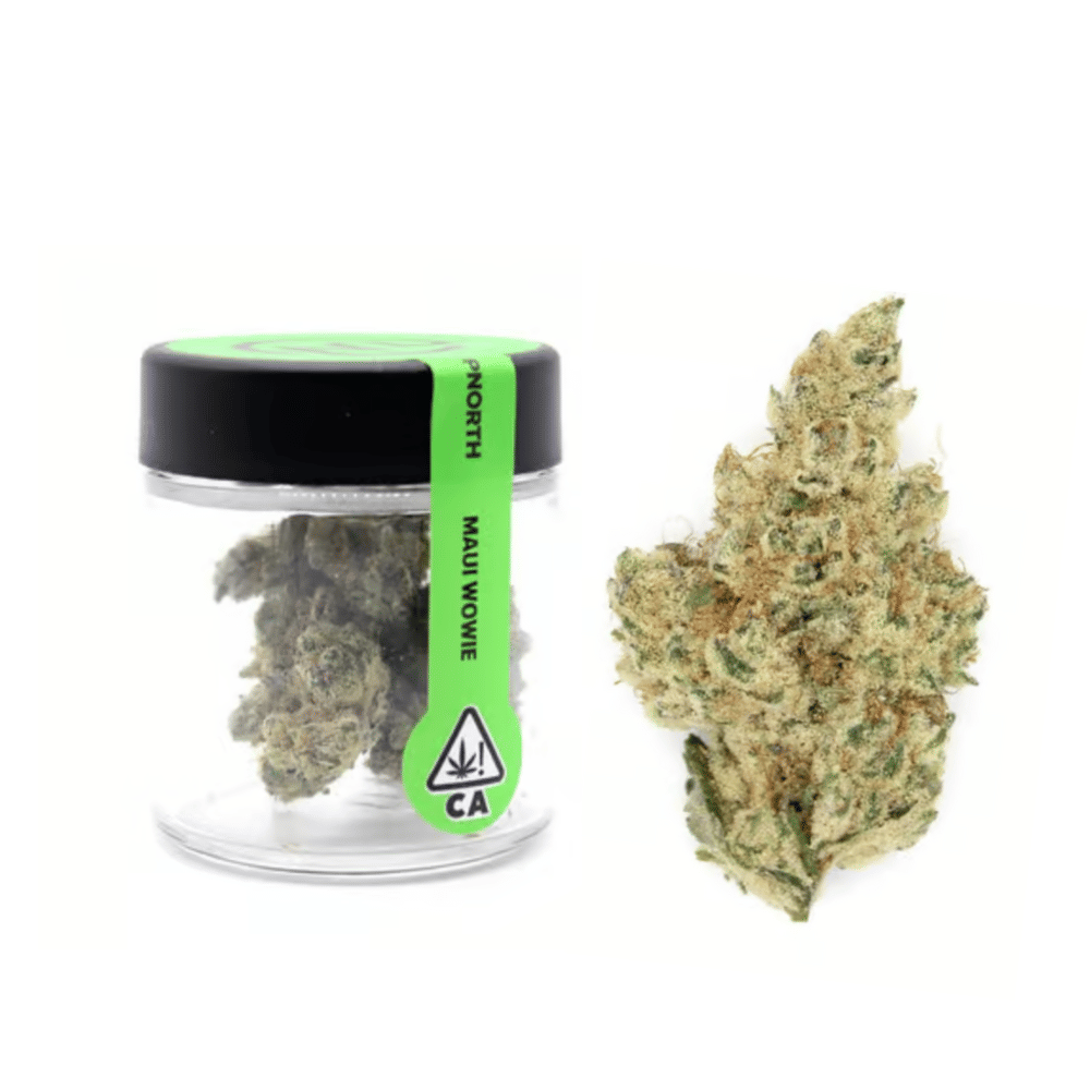 UpNorth — Maui Wowie