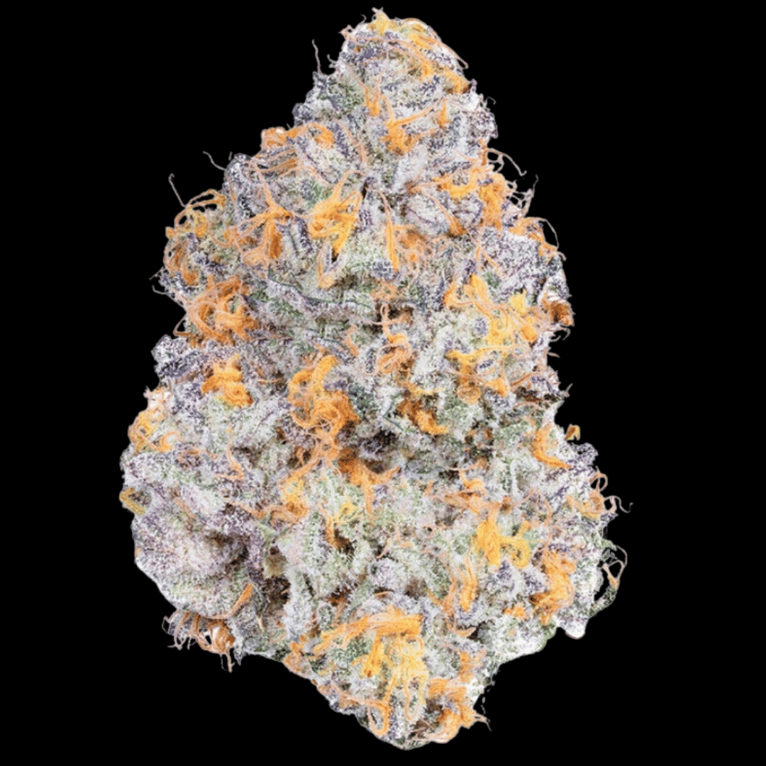 Alien Labs — Dark Web