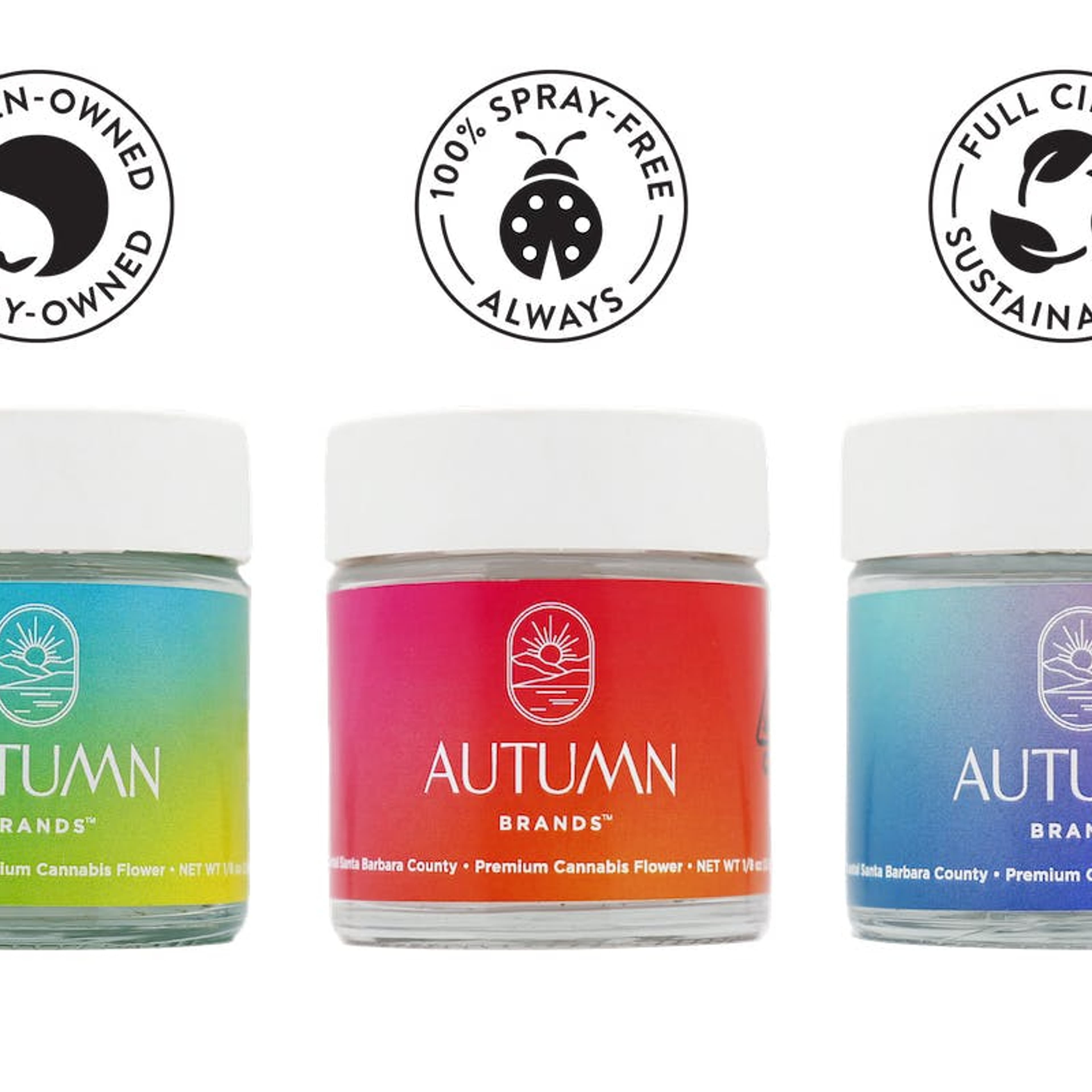 AUTUMN - Blue Dream CBD Flower - 3.5g - Autumn Brands - Jar - $40 - Flower