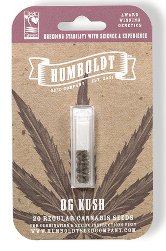 OG Kush - Feminized (10pk)