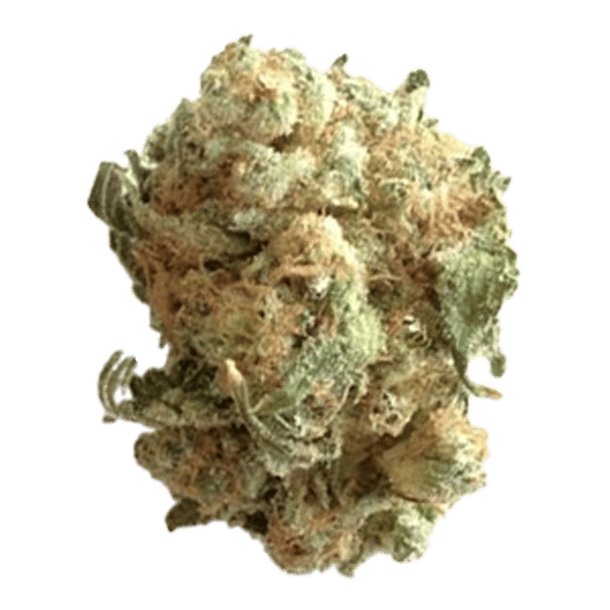 White Widow - Jar - Indoor Flower - UpNorth - Eighth - $49.99 - Flower