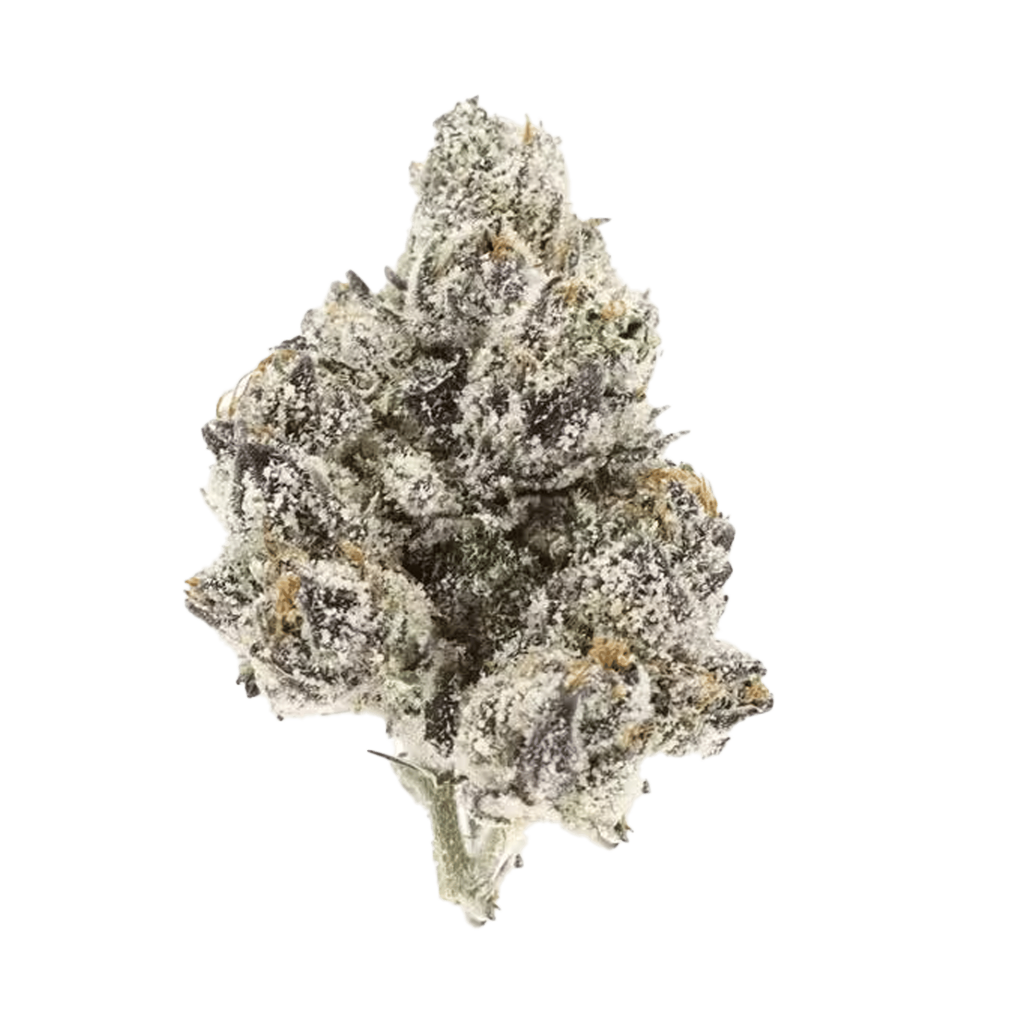 Strawberry Runtz - Jar - Indoor Flower - UpNorth - Eighth - $44.99 - 4mo+ Flower (Date in Description)