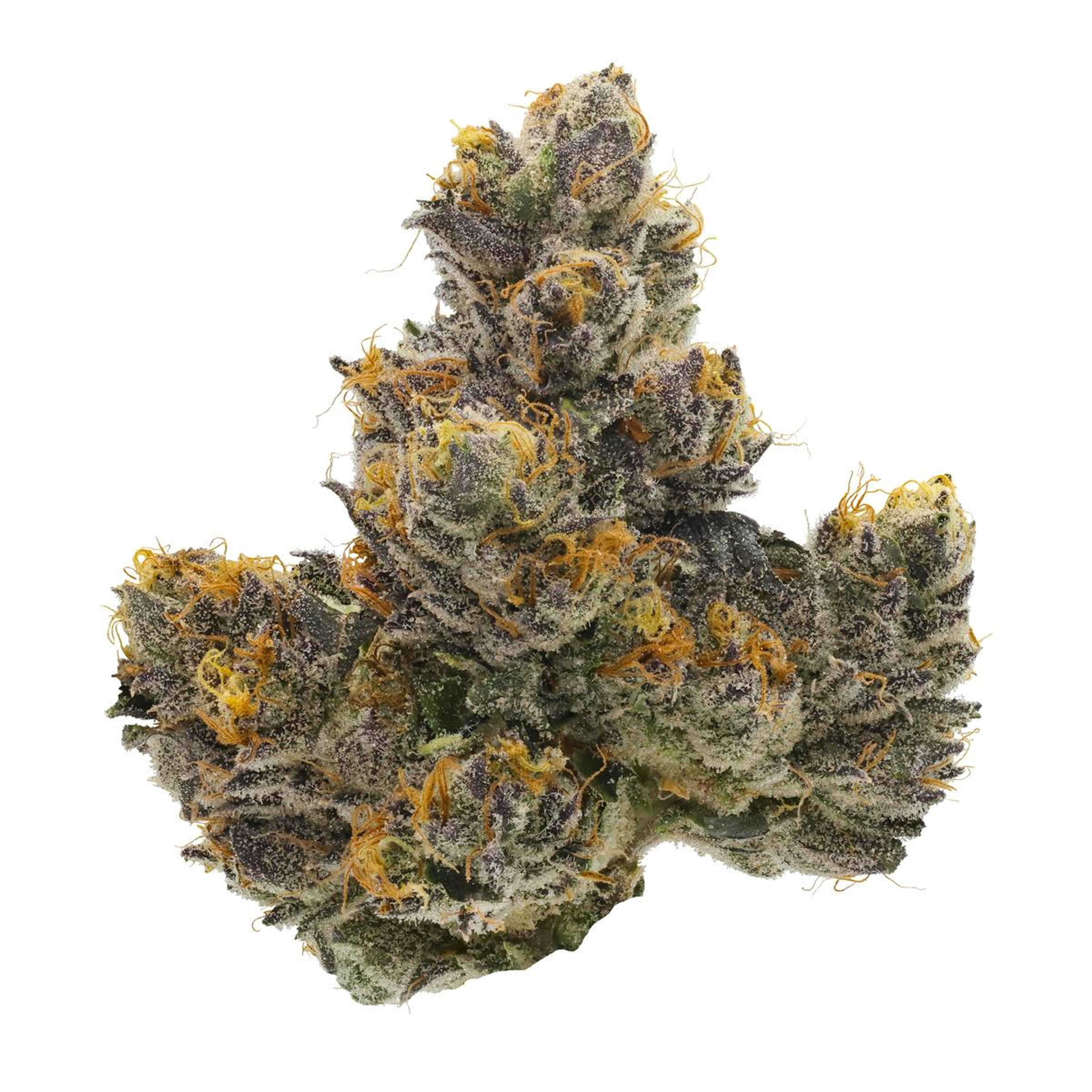 Couch Rider 32.01% - 3.5G - Fig Farms - Couch Rider (I) - $47 - Flower