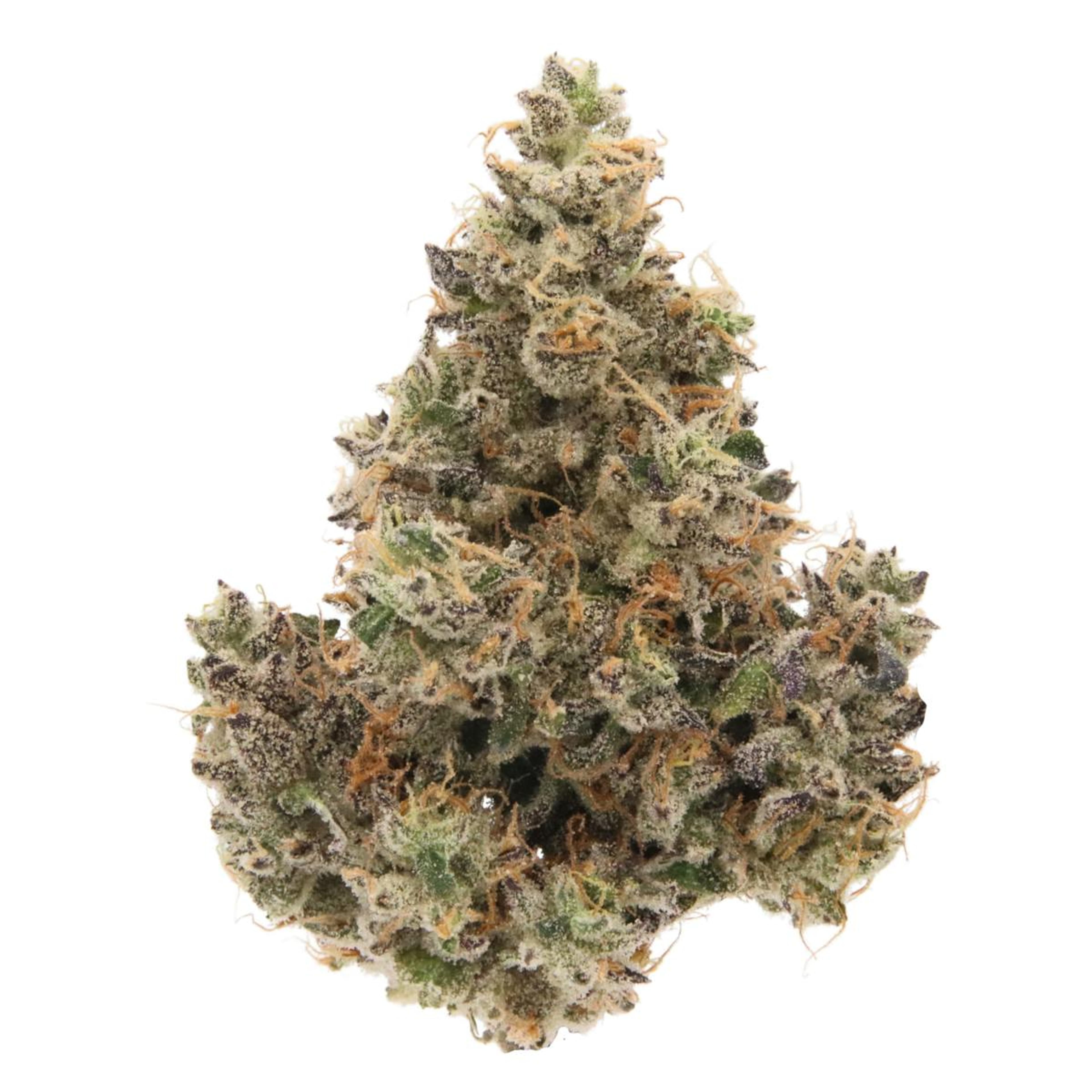 SENSE | Bath House - 3.5g - Sense - - $50 - Flower