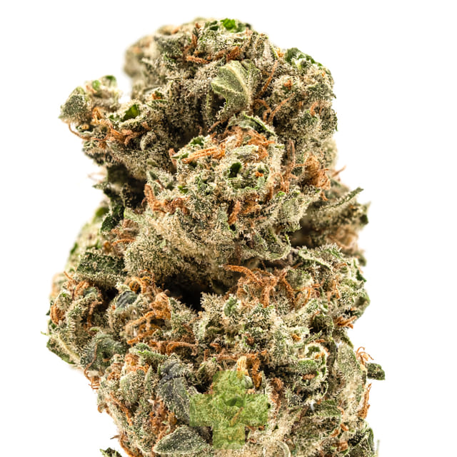 Autumn Brands: Blue Dream, Gh