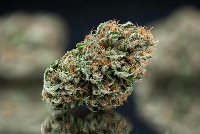 NAMELESS: Mega Diesel