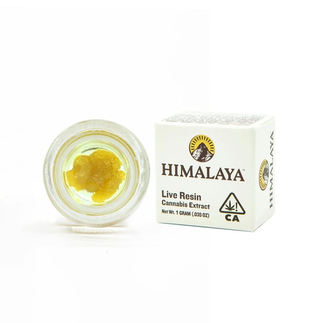 Himalaya: Burger 41