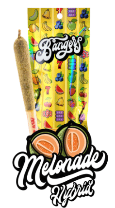 Infused Melonade - Single (1.2g)