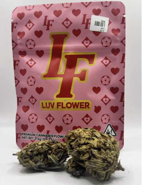 Luv — LCG x Afghan