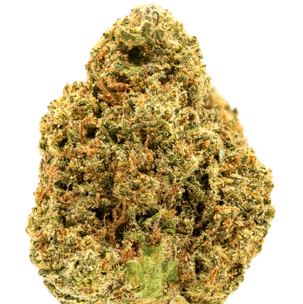 Rimrock Farms — Mimosa, Sg
