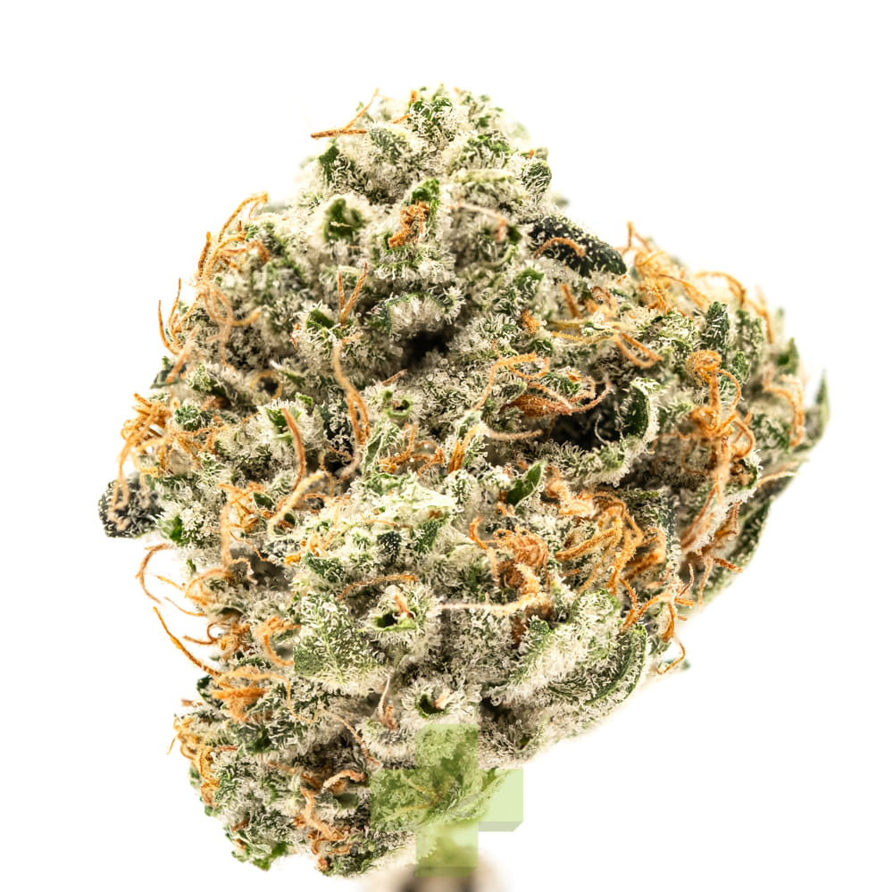 Connected — Ghost OG