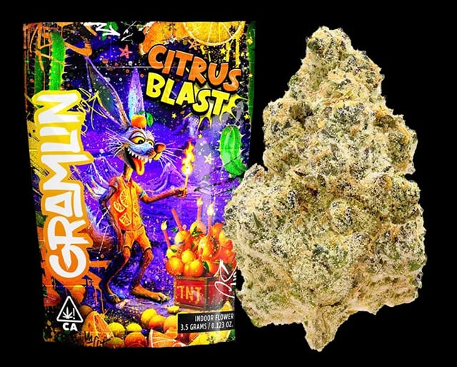 CITRUS BLAST INDOOR SMALLS 14G - GRAMLIN