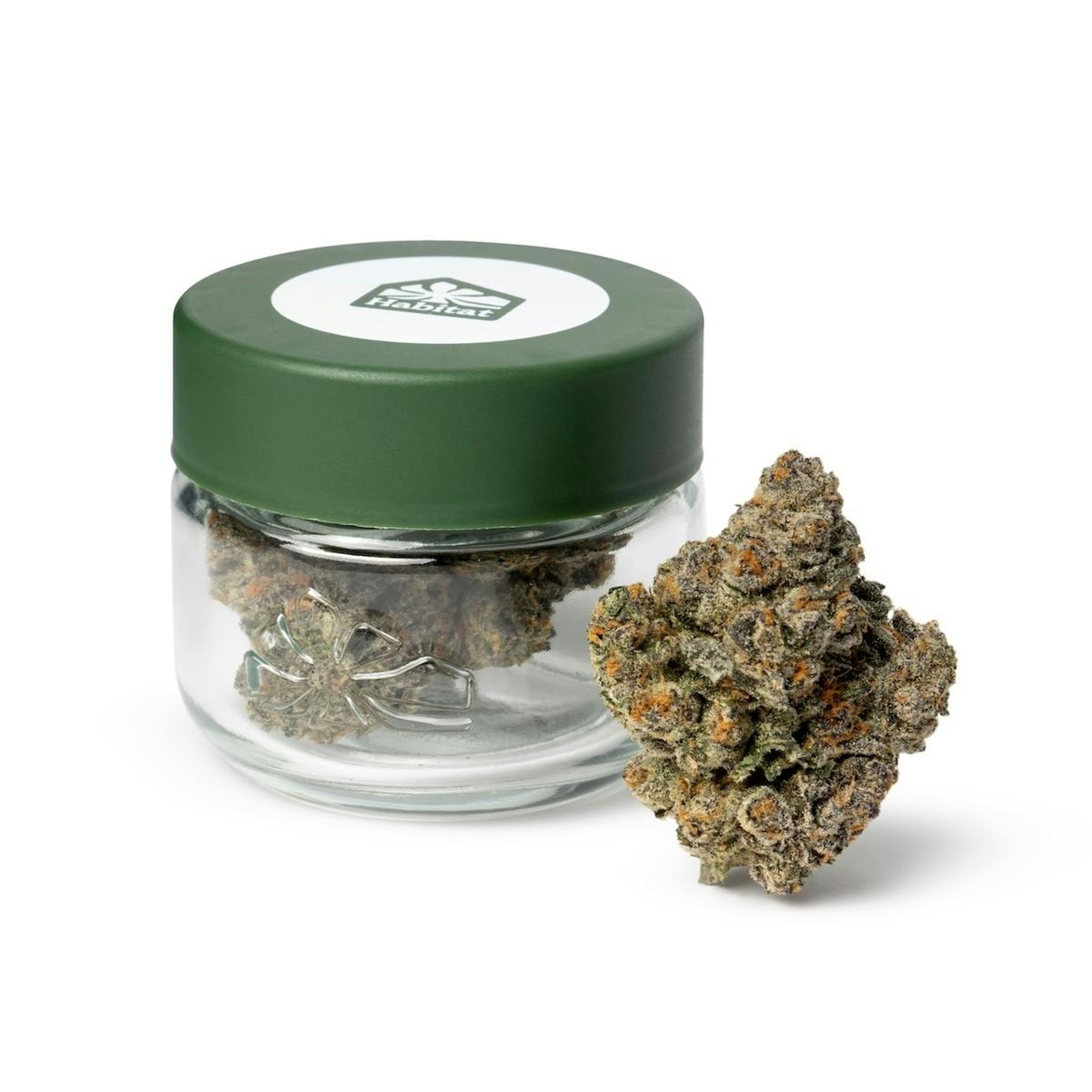 Champagne 3.5g - Habitat - - $30.25 - Flowers