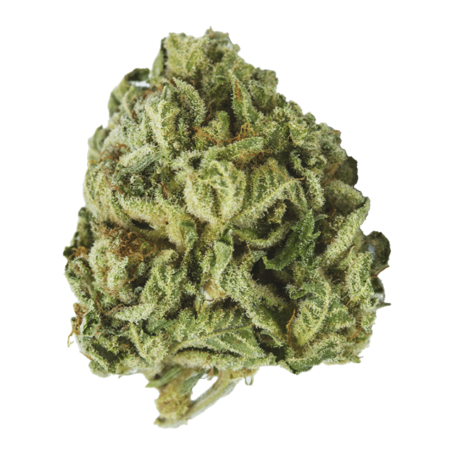 Skywalker OG - 40's Infused Flower