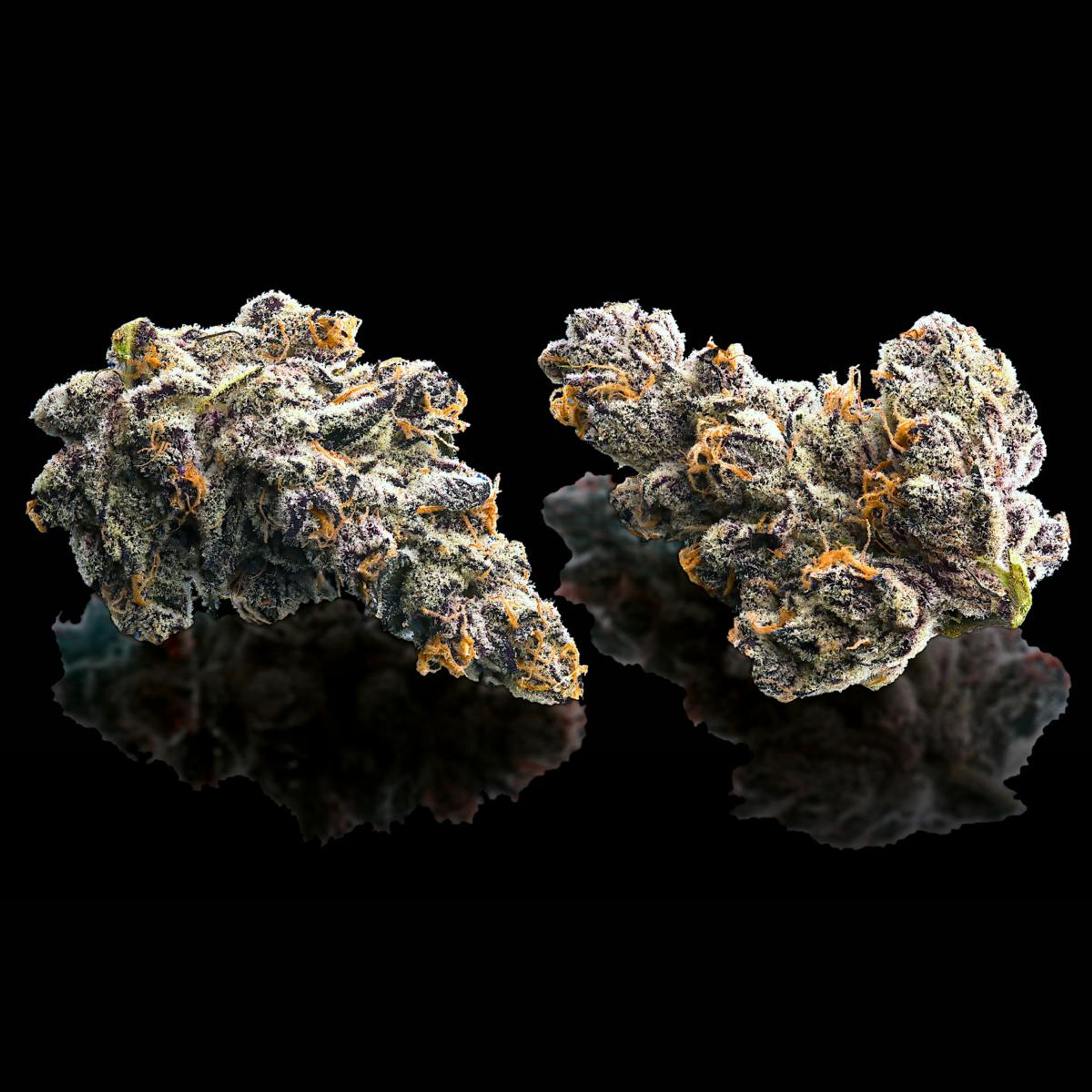 French Lotus 3.5g Flower - Maven Genetics - - $39.61 - Flowers