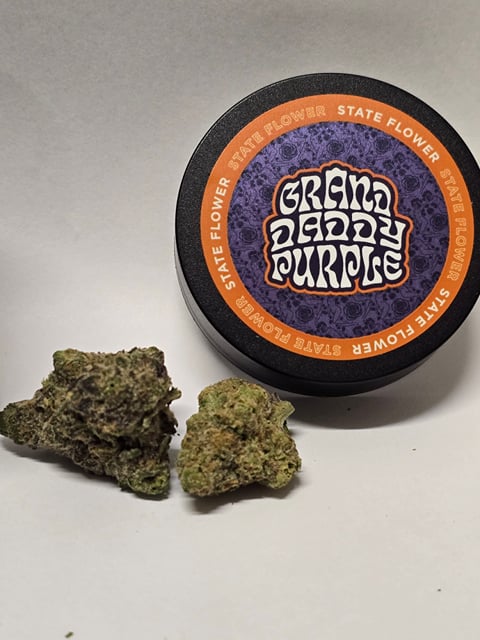 GDP 3.5g indoor flower 31.3%THC