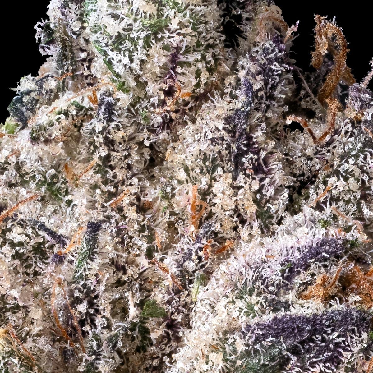 Lipsmackerz 3.5g Flower - Maven Genetics -  - $39.61 - Flowers