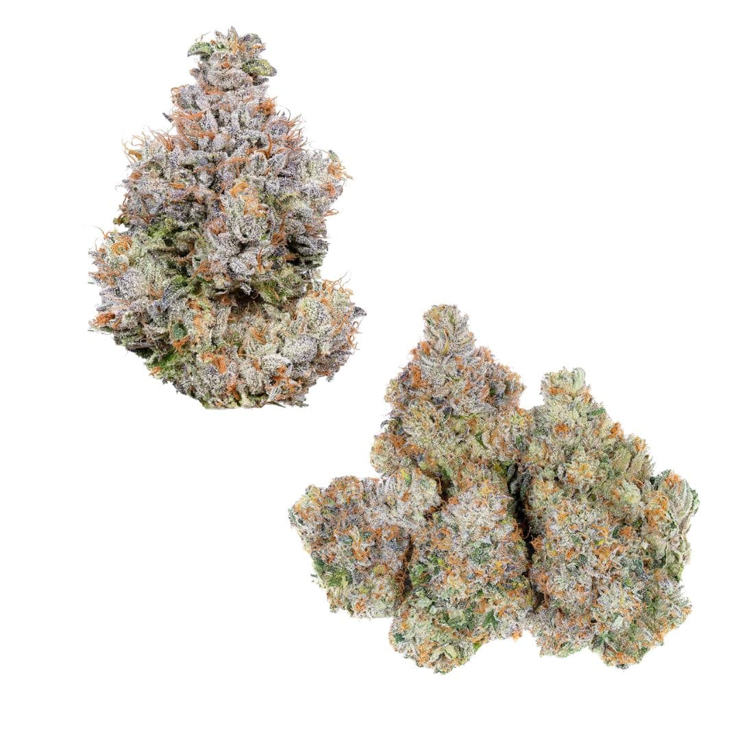 Area 41 3.5g - Alien Labs -  - $45.75 - Flower