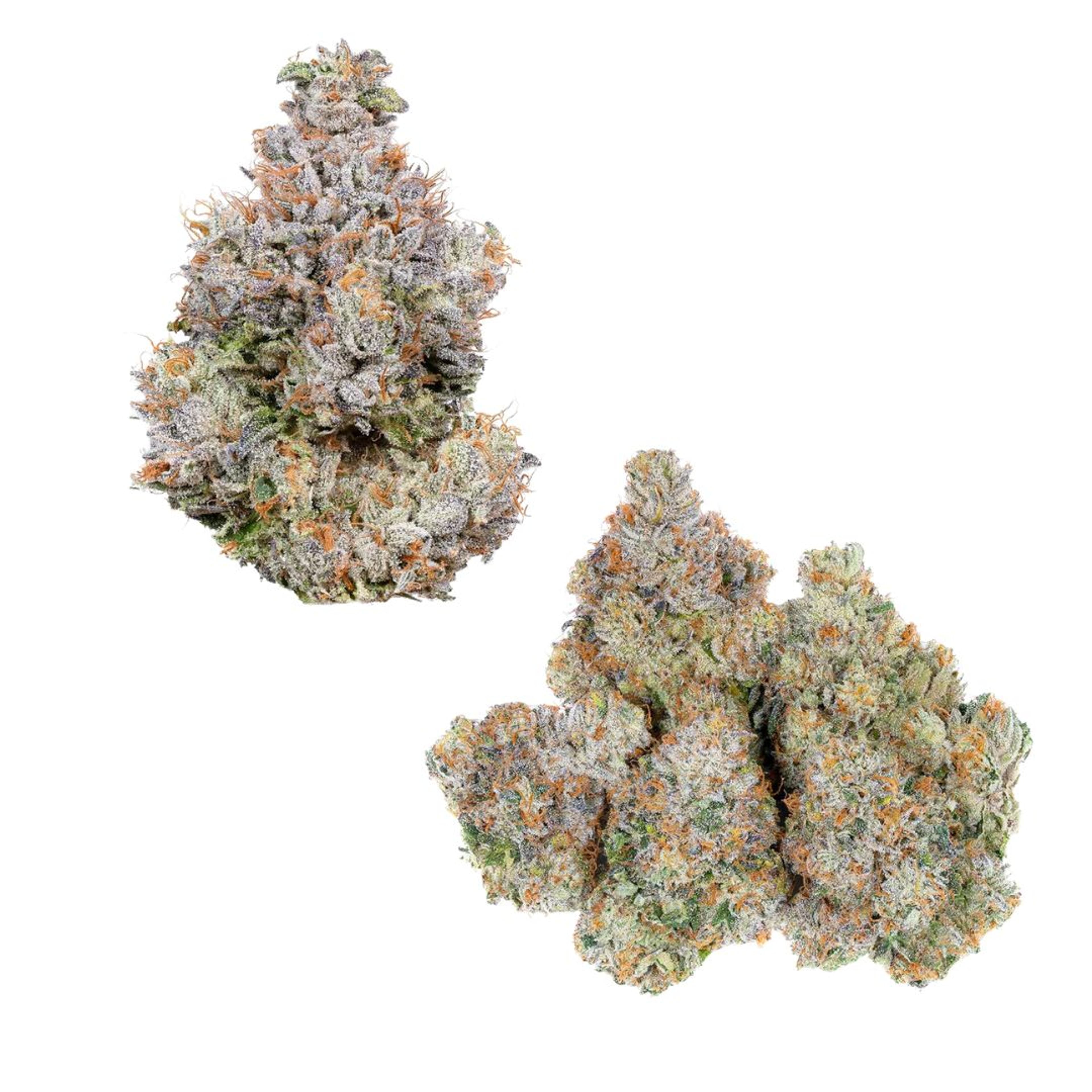 Area 41 3.5g - Alien Labs - - $45.75 - Flower