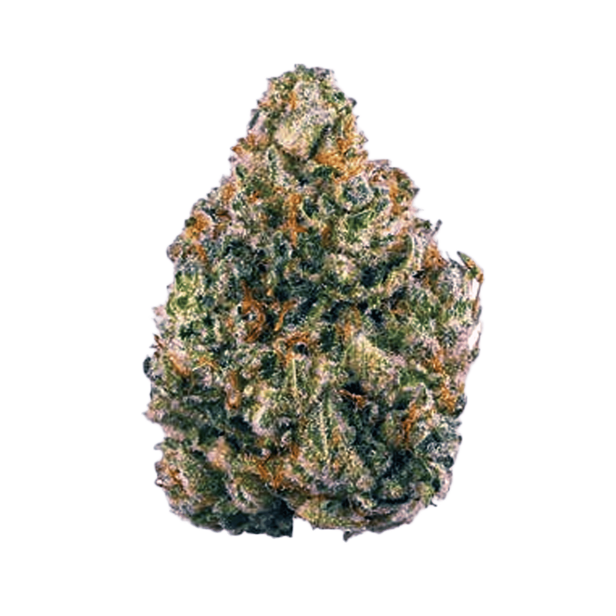 Sour Beltz - Jar - Indoor Flower - High Grade Farms - Eighth - $37.79 - 4mo+ Flower (Date in Description)