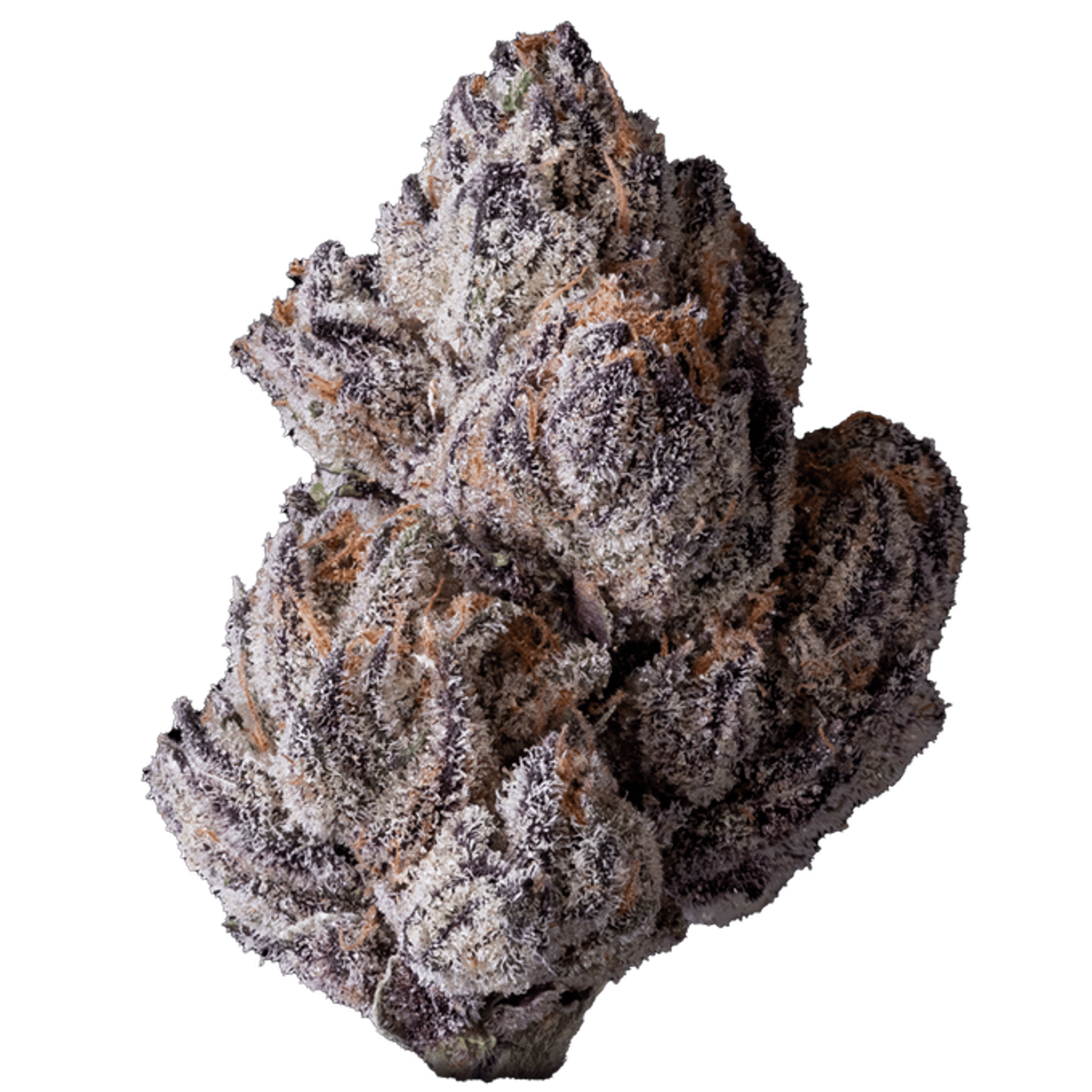 Lipsmackerz - Maven Genetics - Eighth - $50 - Flowers