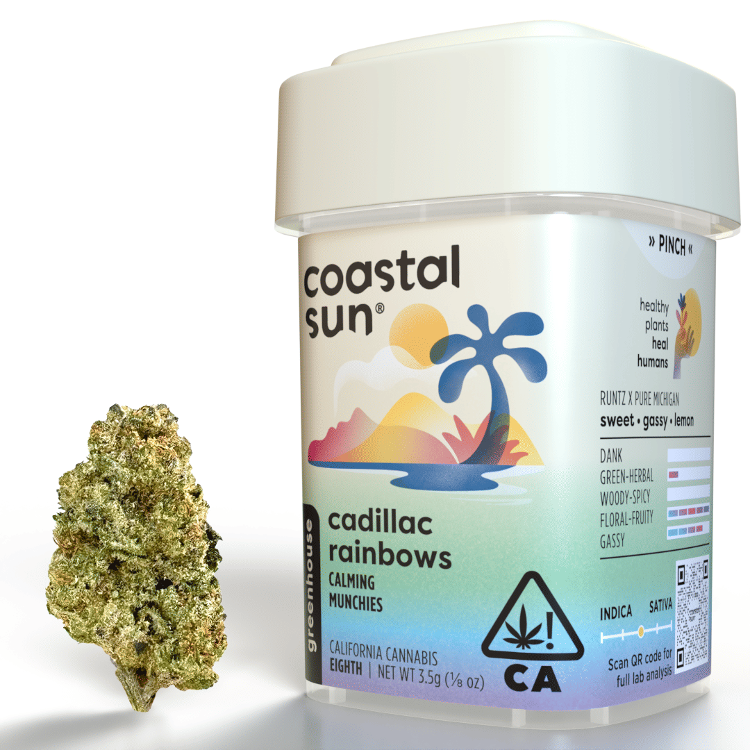 Cadillac Rainbow 3.5G Greenhouse flw - Coastal Sun -  - $14.40 - Flower