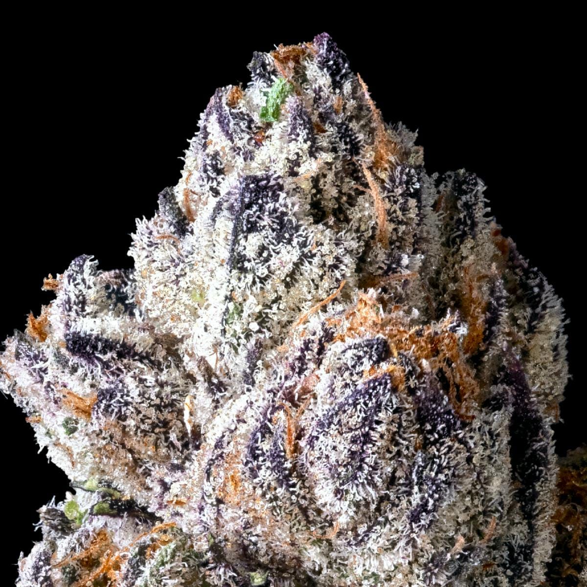 Lipsmackerz 3.5g Flower - Maven Genetics -  - $39.61 - Flowers