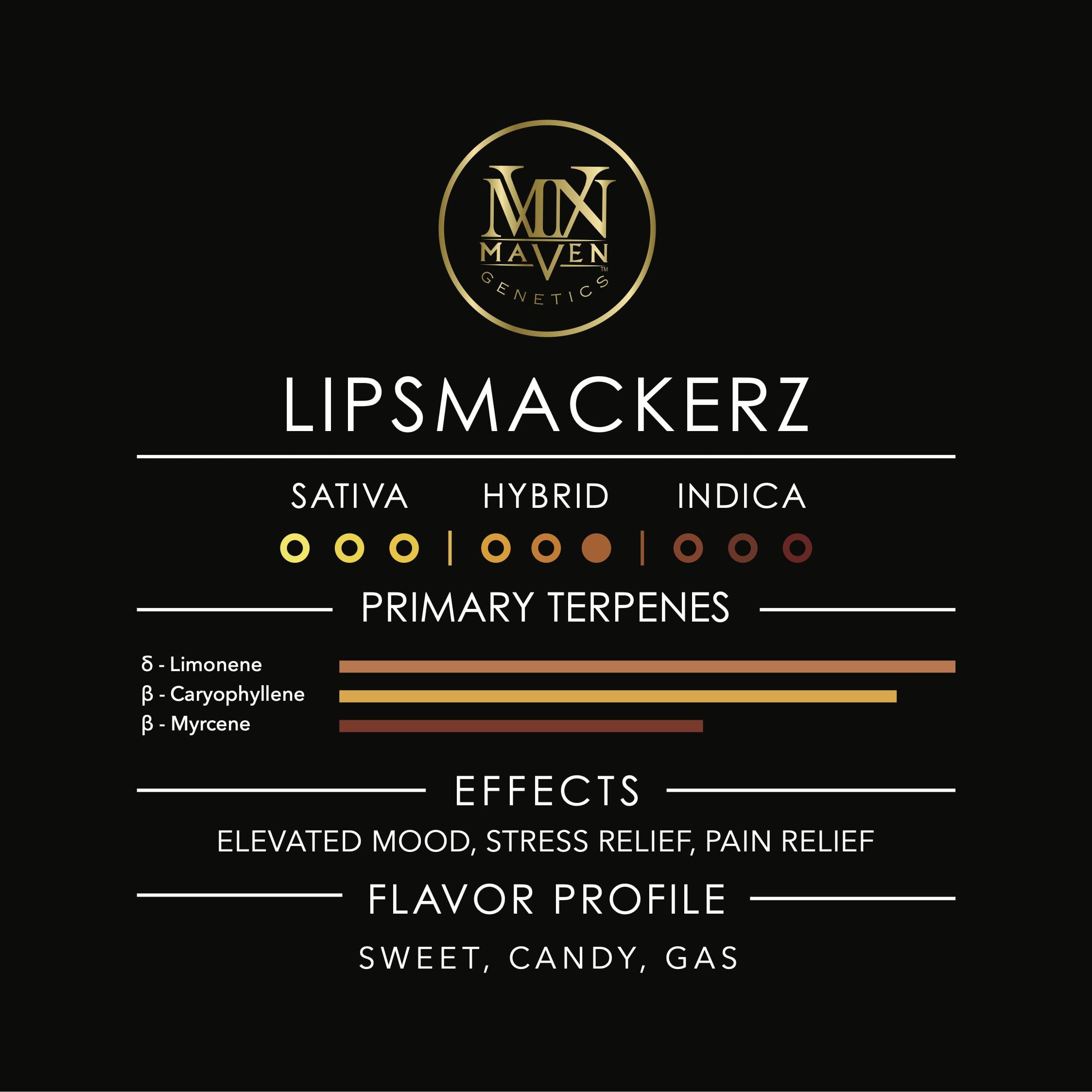 Lipsmackerz 3.5g Flower - Maven Genetics -  - $39.61 - Flowers