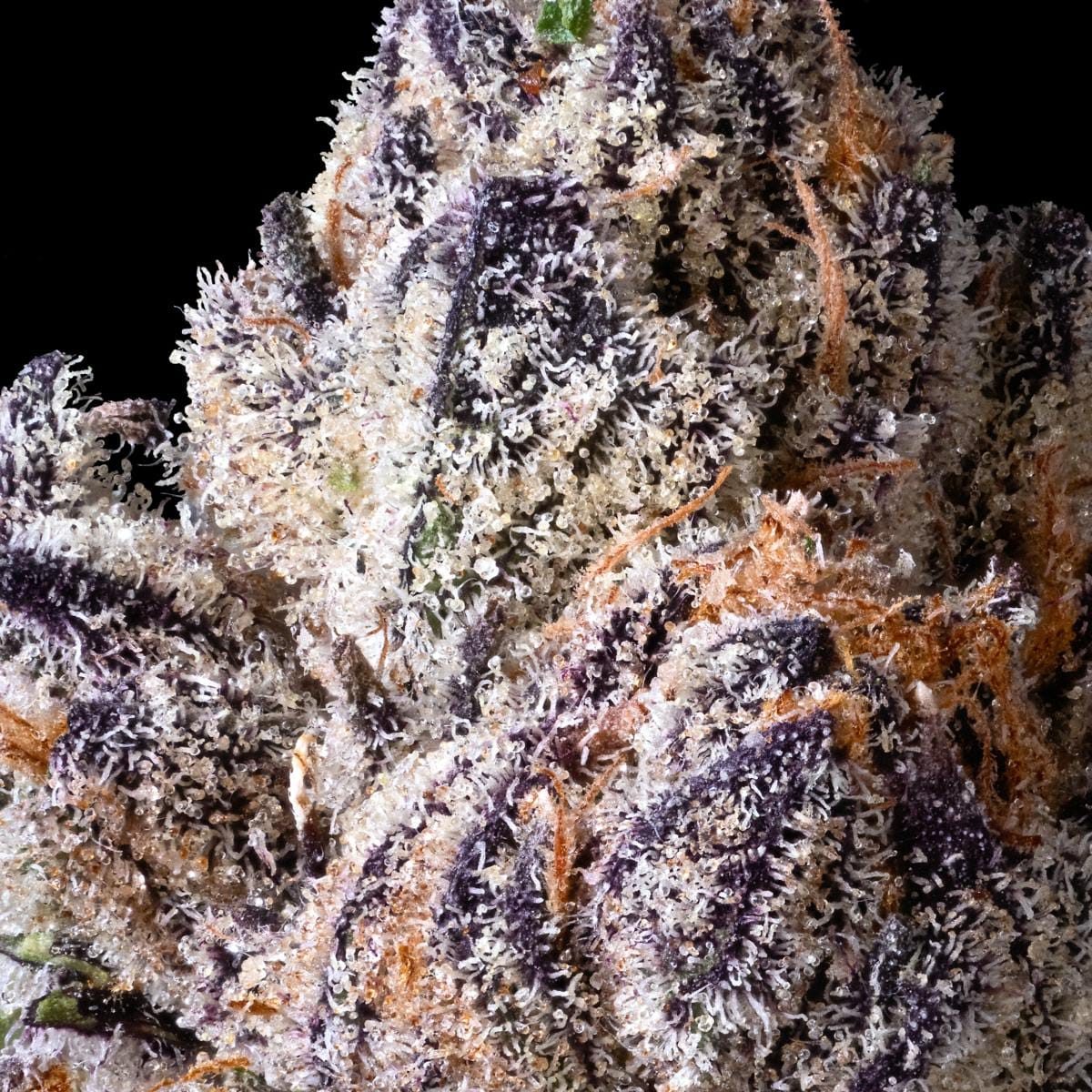 Lipsmackerz 3.5g Flower - Maven Genetics -  - $39.61 - Flowers