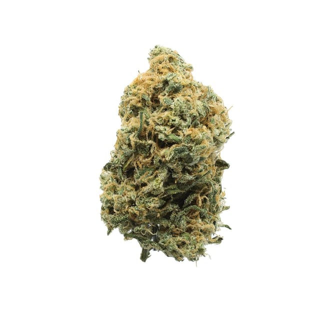 UpNorth — Red Congolese