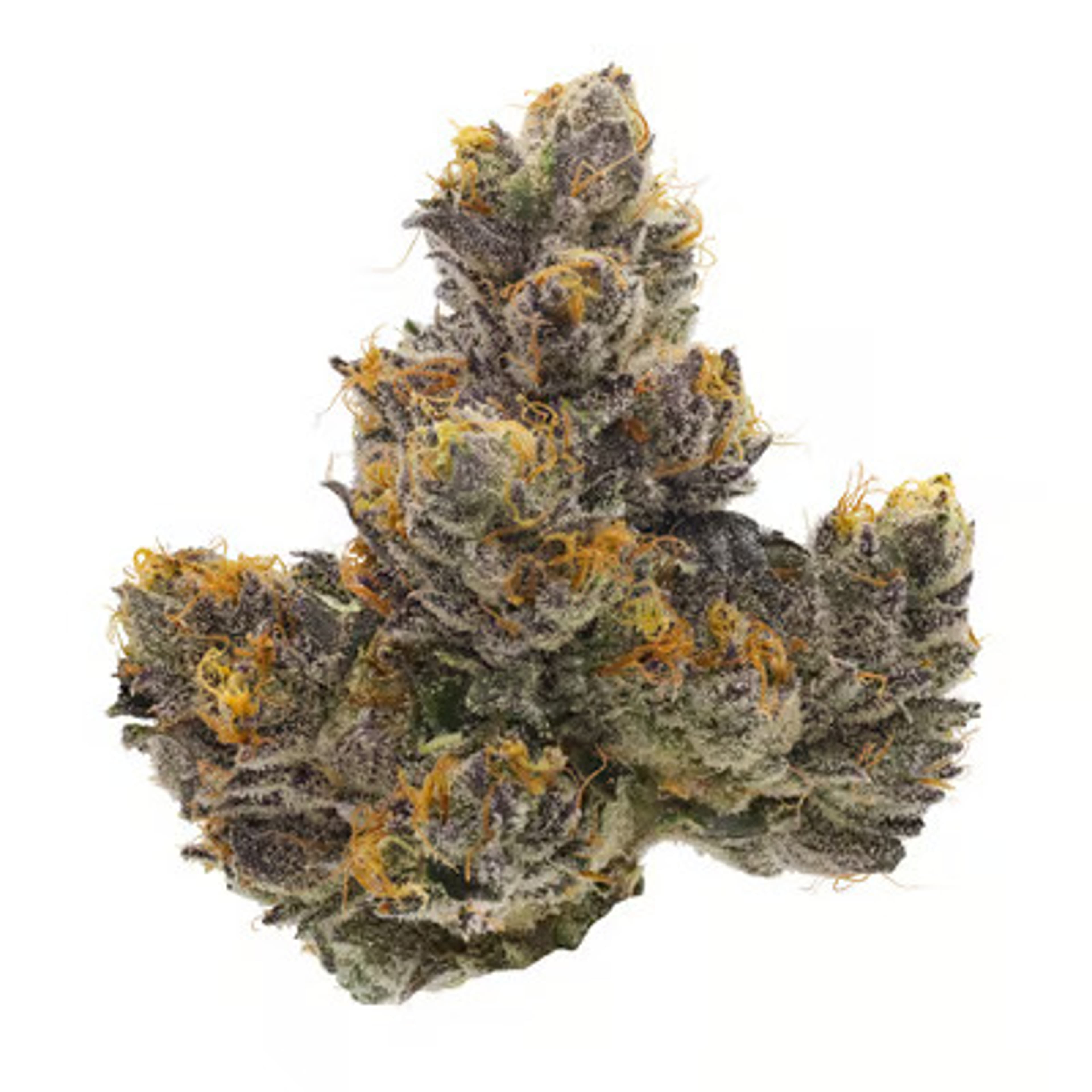 Couch Rider - Fig Farms - Eighth - $50 - Flowers