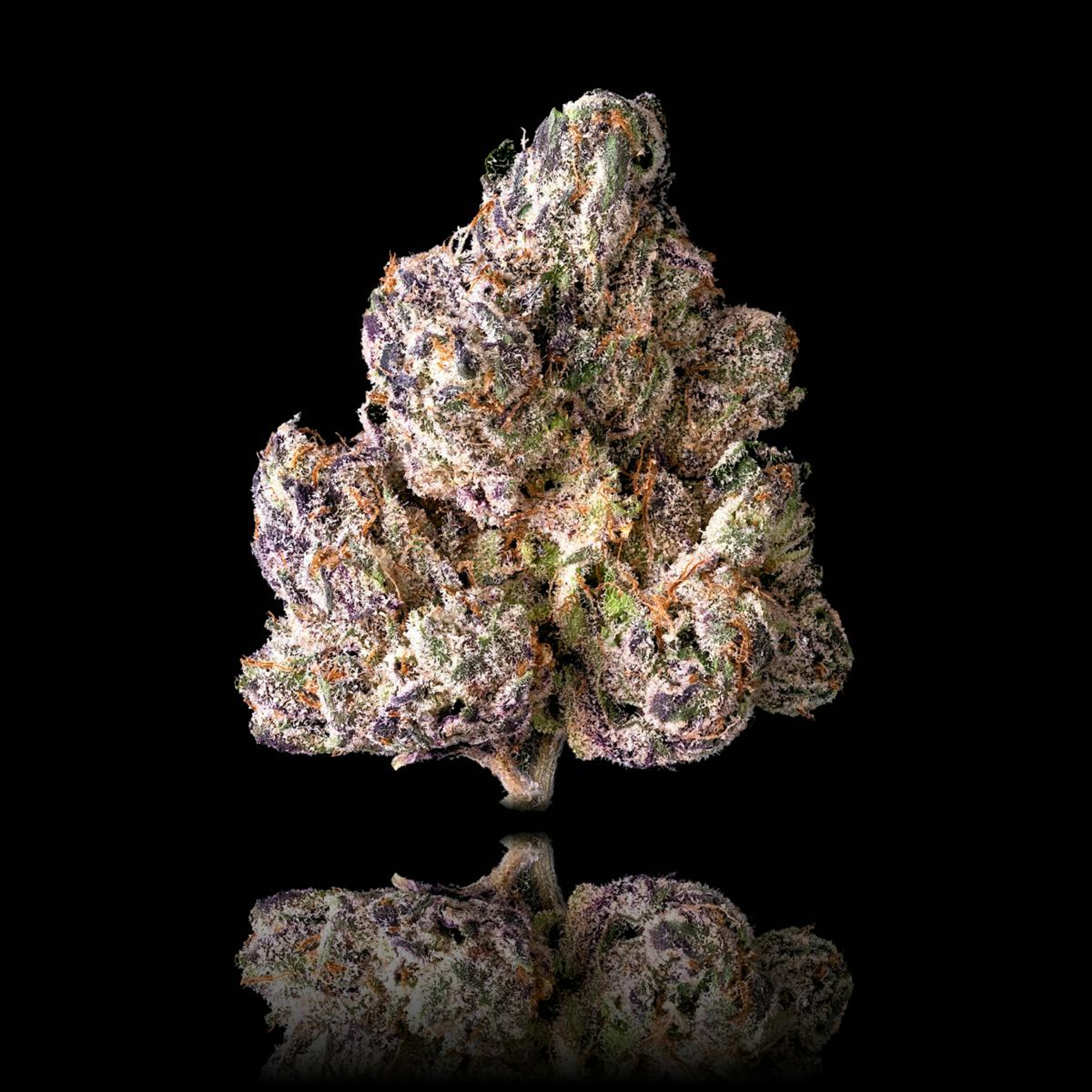 Lipsmackerz 3.5g Flower - Maven Genetics - - $39.61 - Flowers