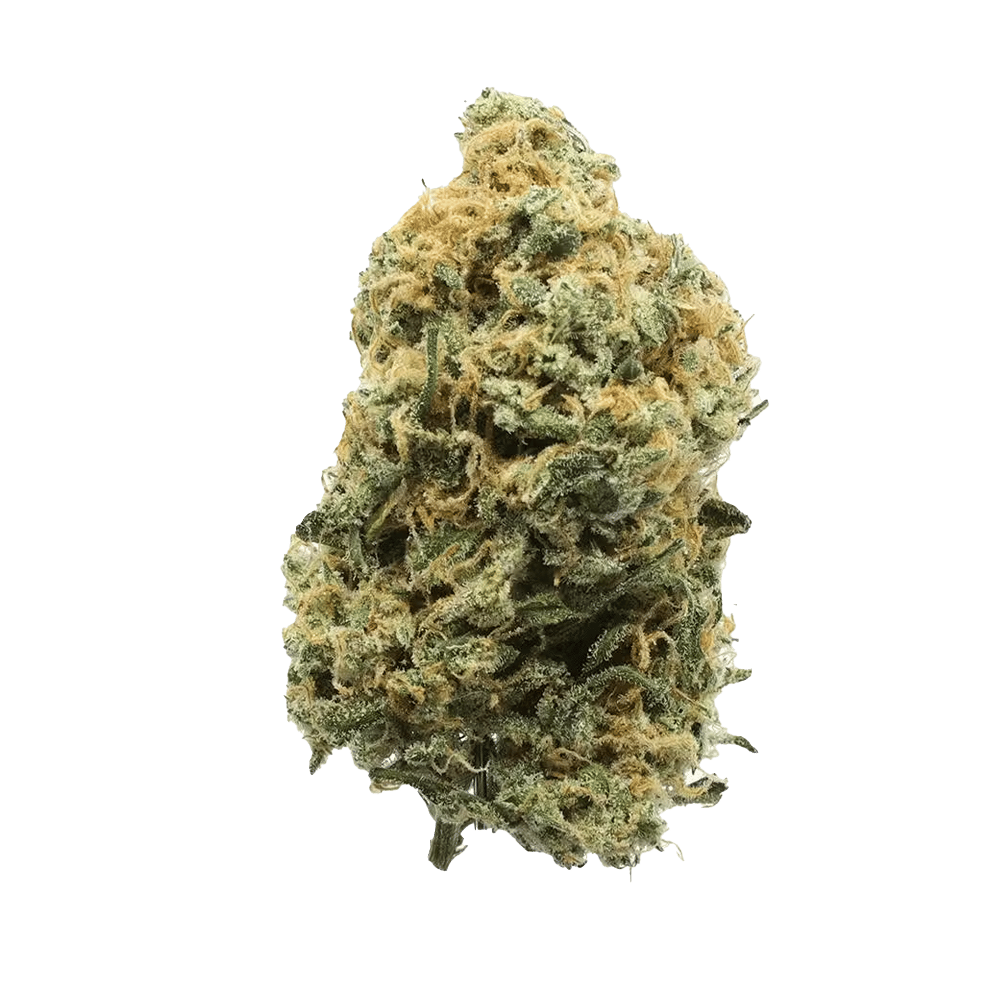 Red Congolese - Jar - Indoor Flower - UpNorth - Eighth - $49.99 - Flower
