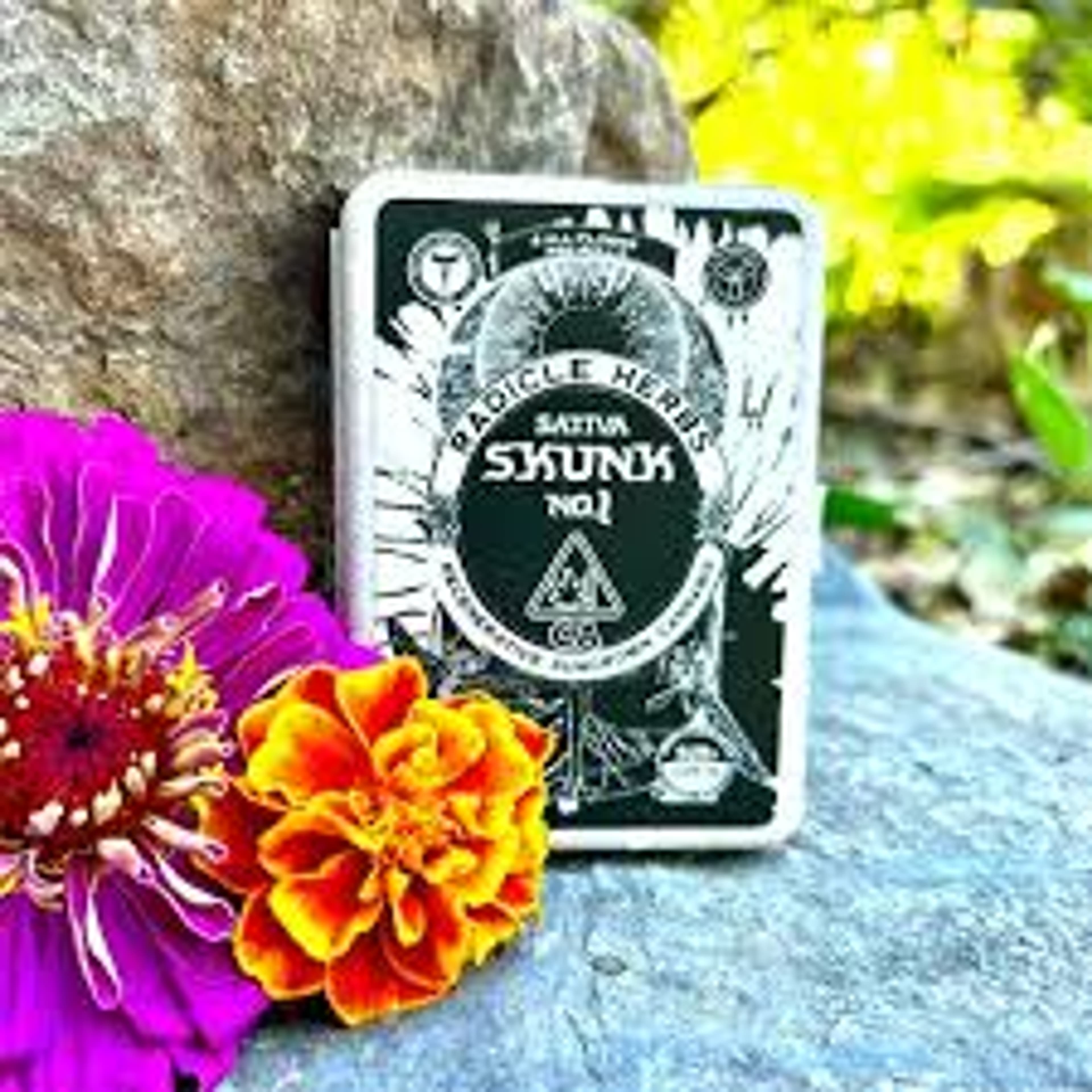 Radicle Herbs 4pk Pre-rolls - Radicle Herbs - Sherb Cream Pie (I) - $35 - Pre-Rolls