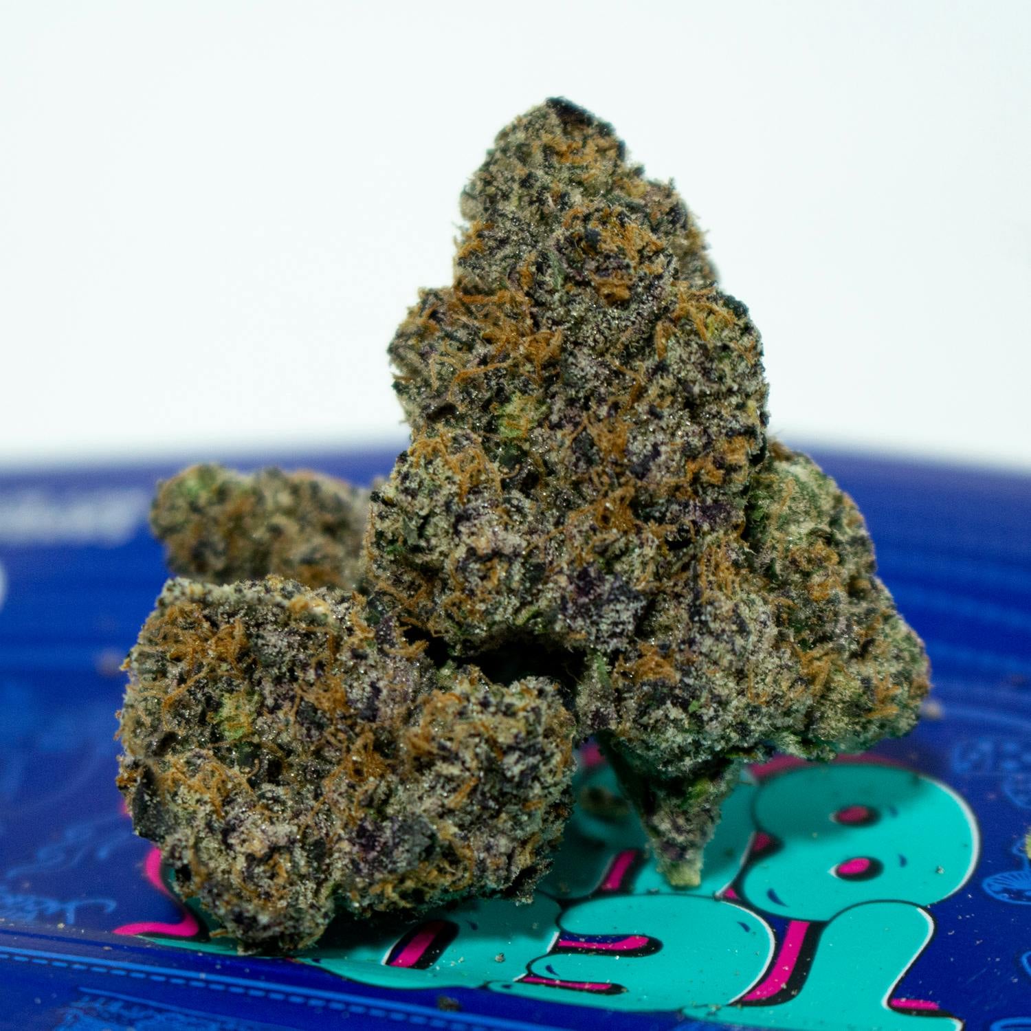 TEDS BUDZ: King Neptune