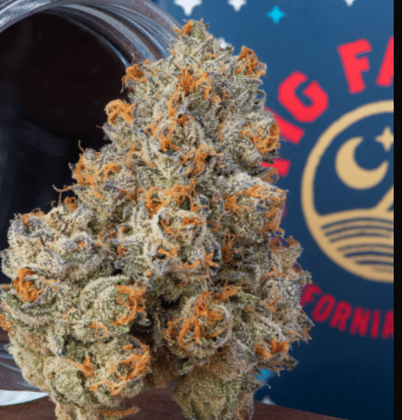 Fig Farms — Krypto Nectarines