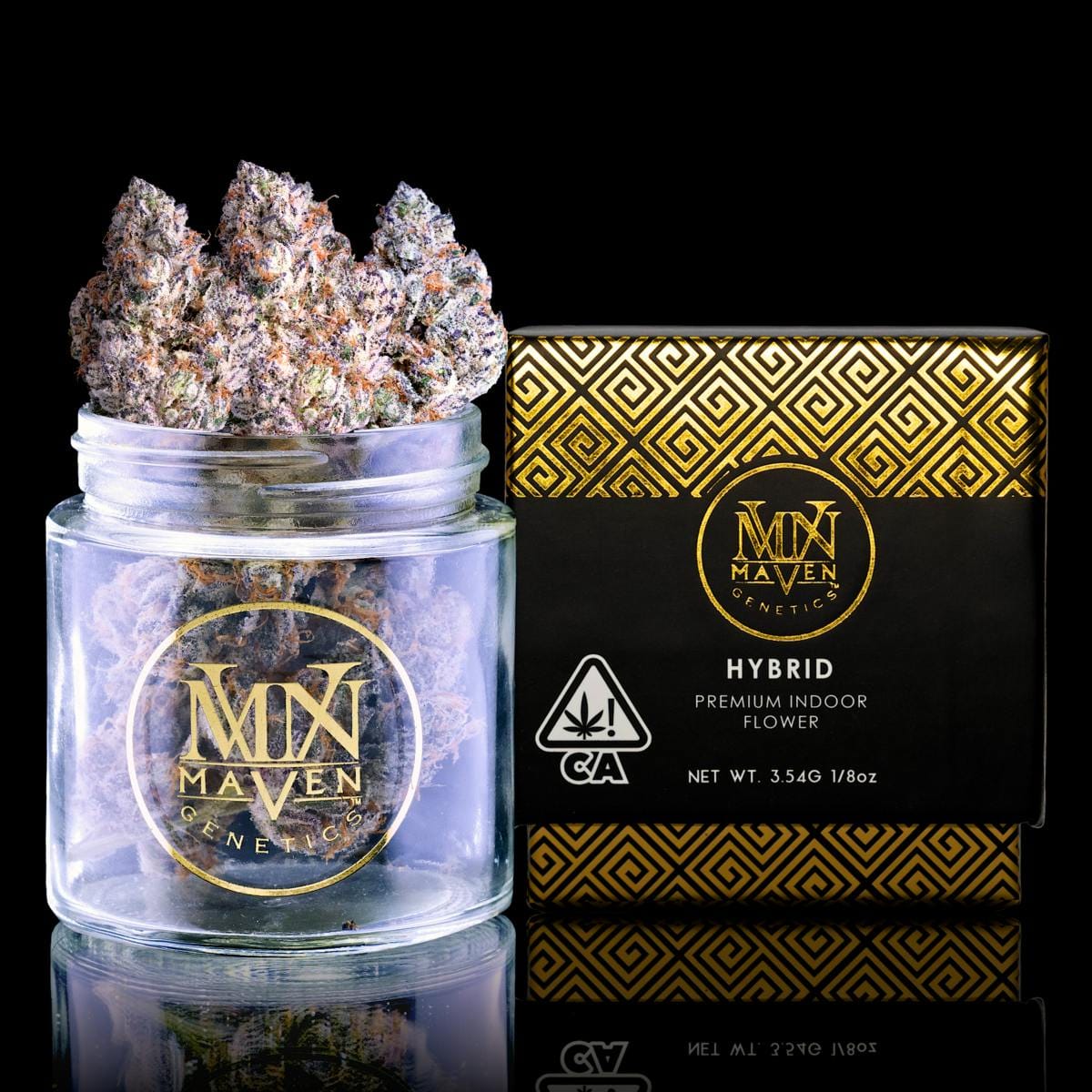 Maven Genetics: Shangri-la