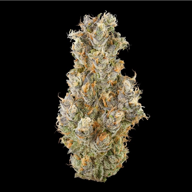 Krypton Nectarine | .5g x 5pk