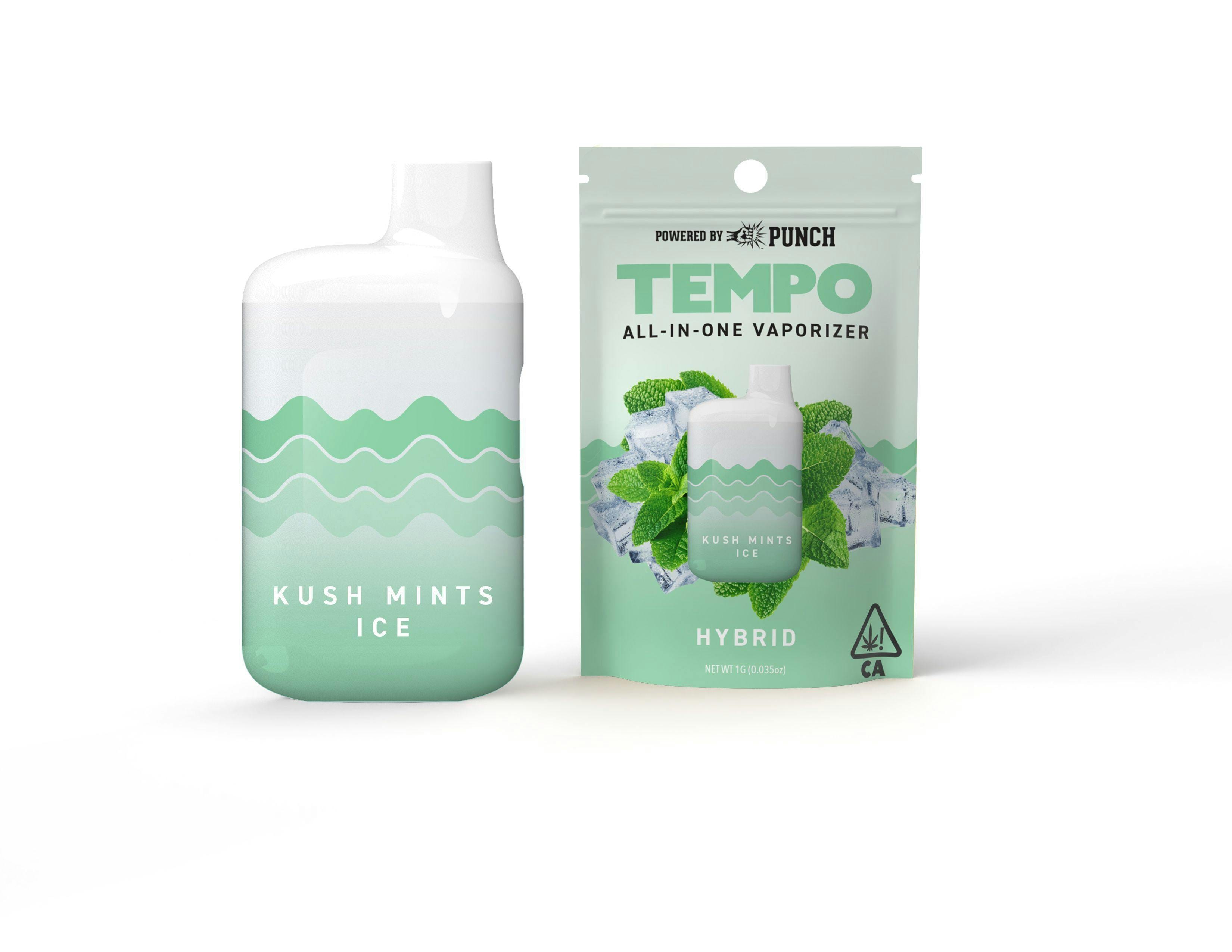 Kush Mints Ice - Disposable - Tempo - One Gram - $25.99 - Disposable Vape (All-In-One, Battery Built-In)