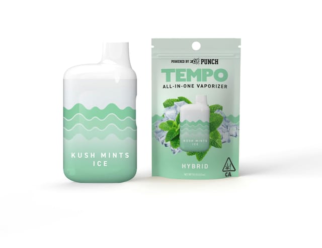 Kush Mints Ice | 1g All In One