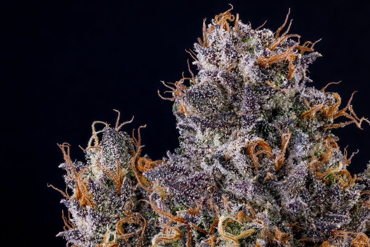 RAPPER WEED 3.5G - FIG FARMS -  - $38.75 - Flowers