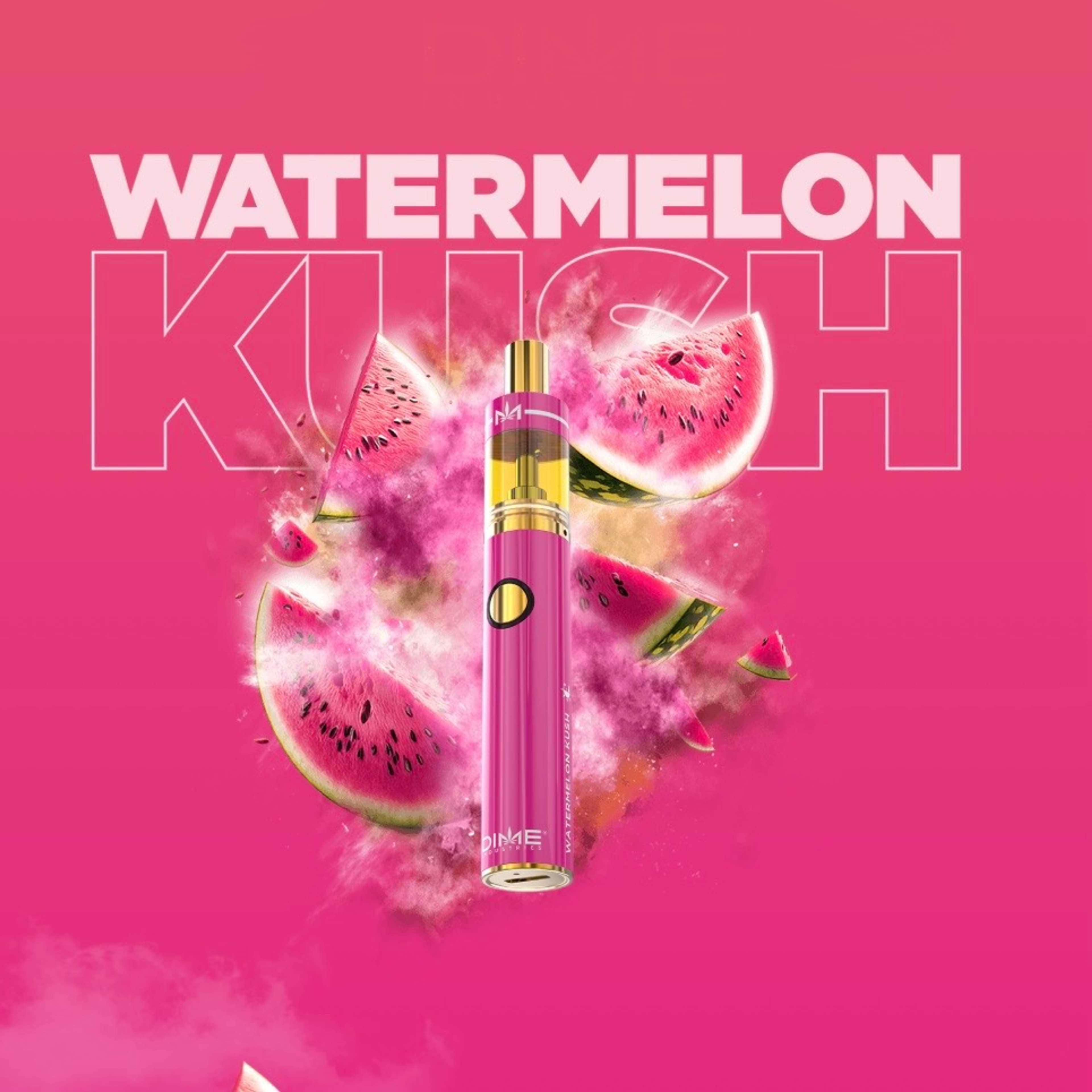 WATERMELON KUSH AIO 1G SIGNATURE - DIME - - $28 - Vape