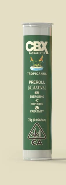 CBX — Tropicanna