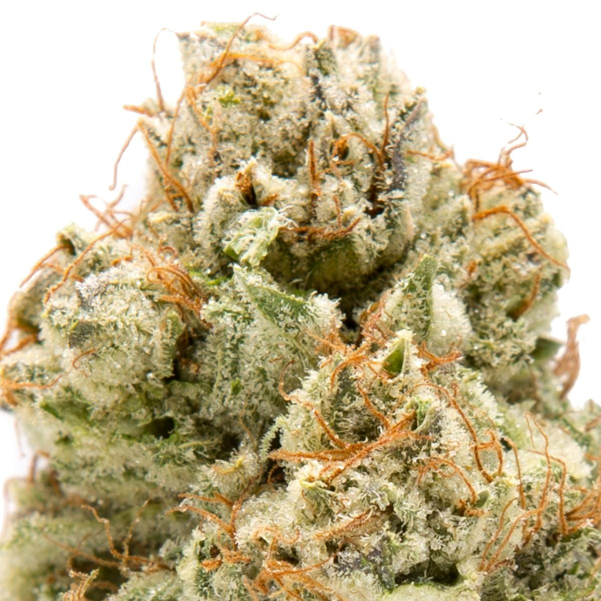 Incognito OG 21.9% - 3.5G - Nameless Genetics - Incognito OG (I) - $50 - Flower