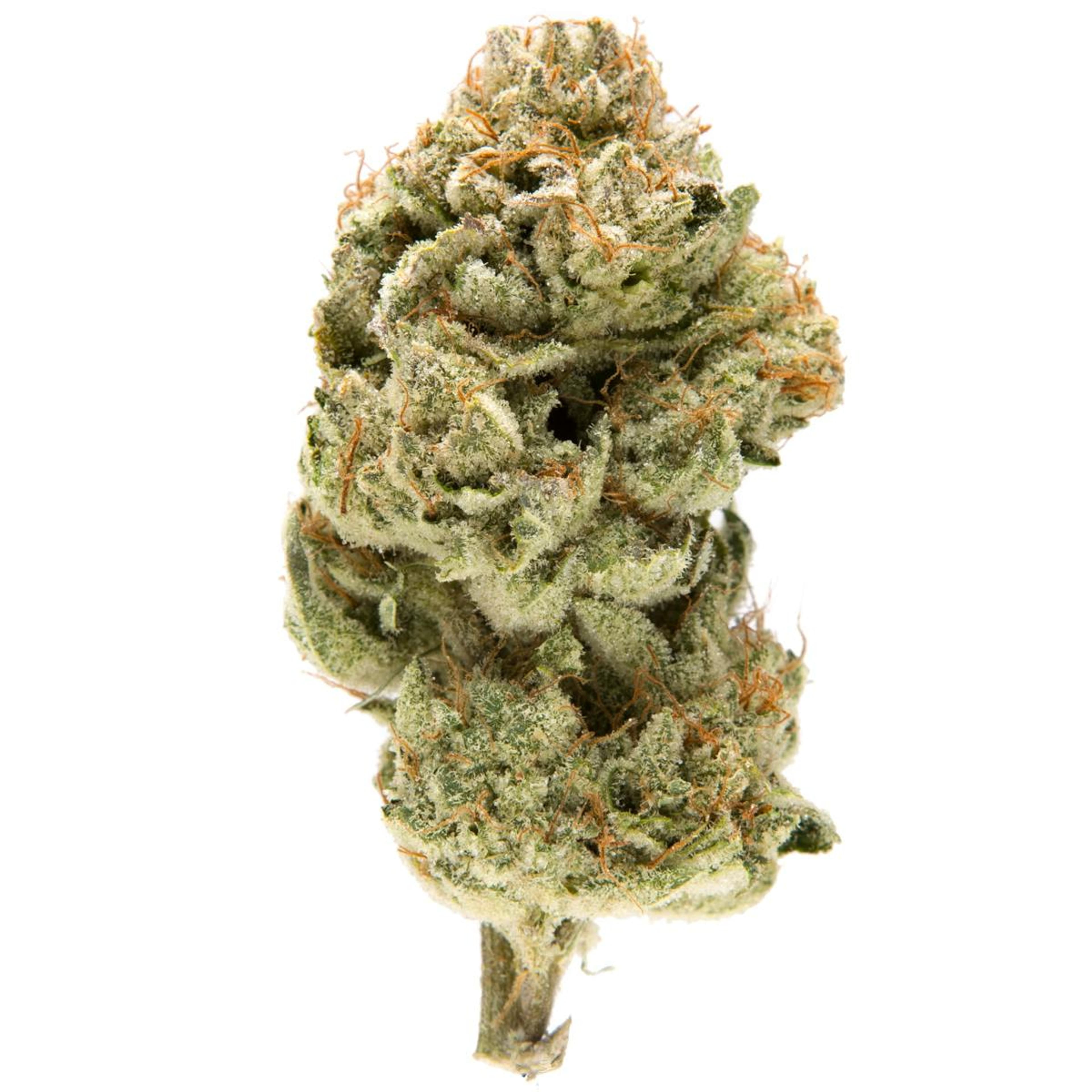 Incognito OG 21.9% - 3.5G - Nameless Genetics - Incognito OG (I) - $50 - Flower