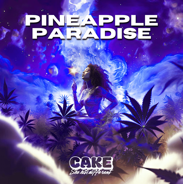 Pineapple Paradise 1.25g Disposable